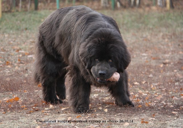 Фотография № 167701