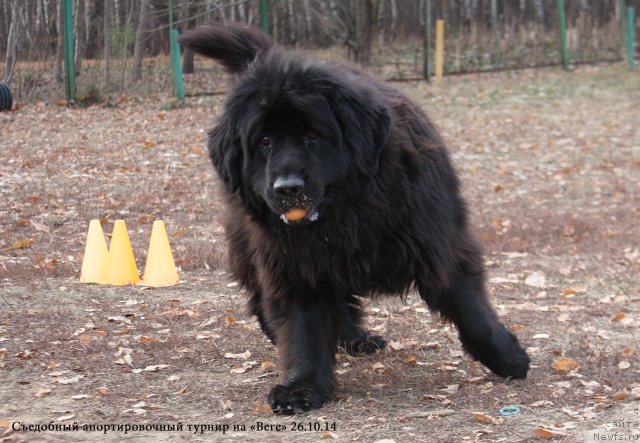 Фотография № 167702