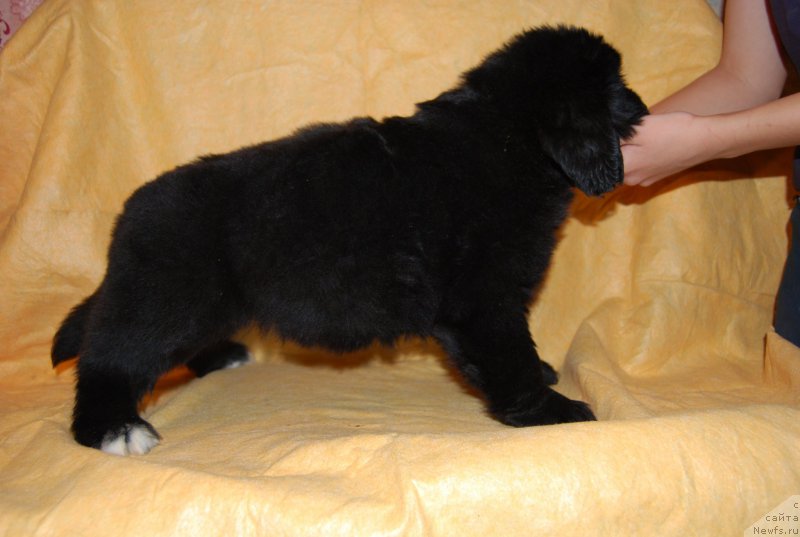 Фотография № 167710