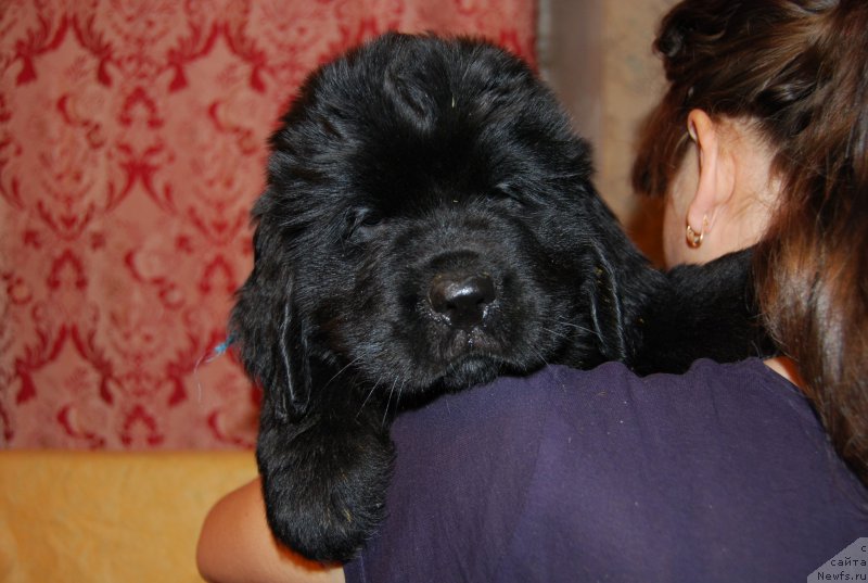 Фотография № 167711