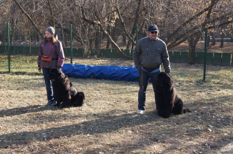 Фотография № 167717