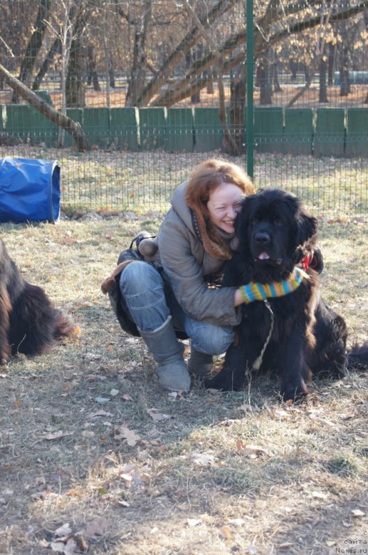 Фотография № 167719