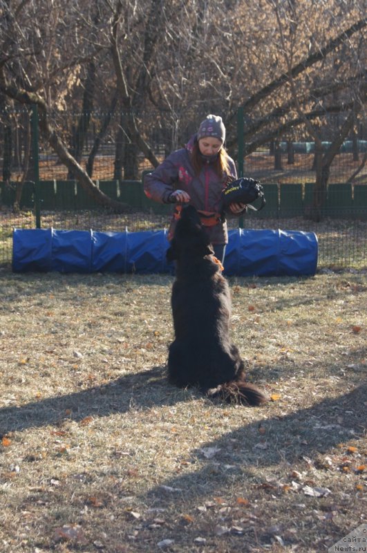 Фотография № 167720