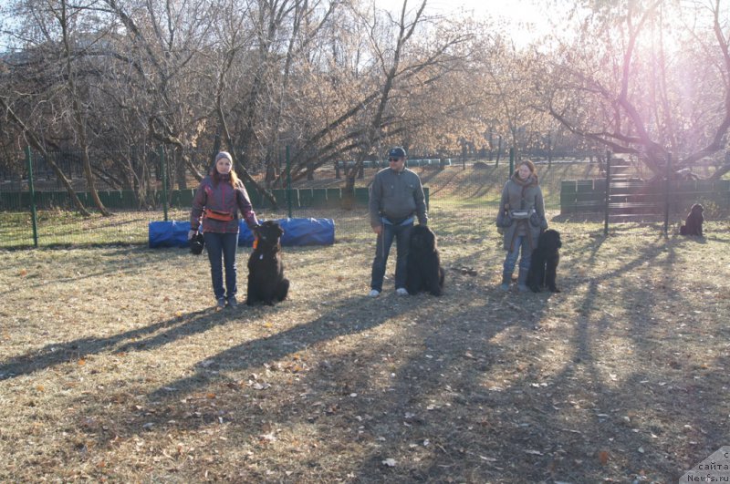 Фотография № 167721