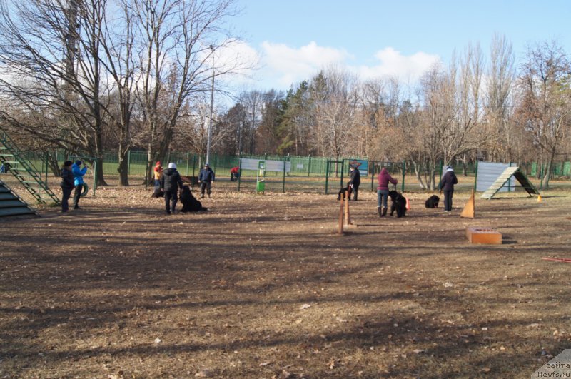 Фотография № 167723