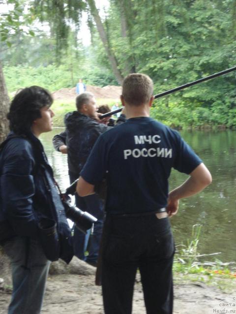 Фотография № 16773