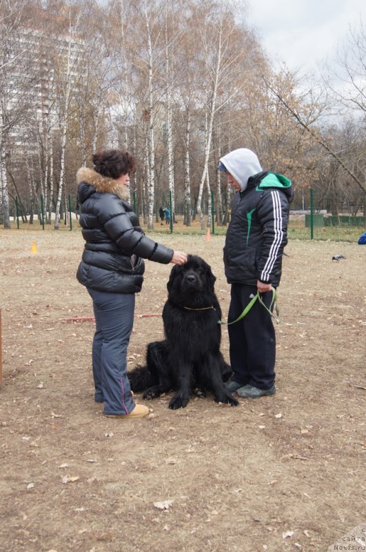 Фотография № 167730