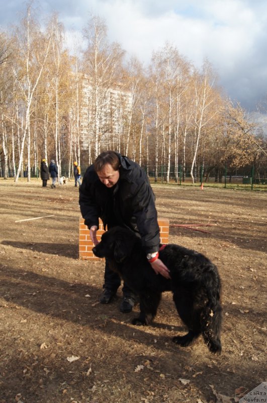 Фотография № 167731