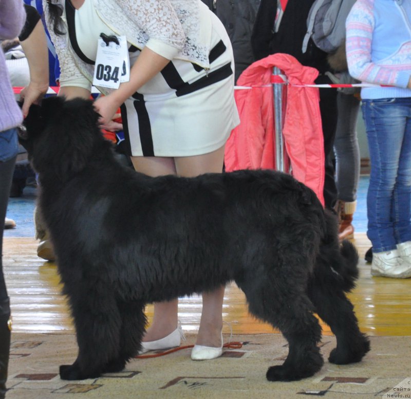 Фотография № 167735