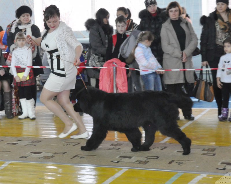 Фотография № 167736