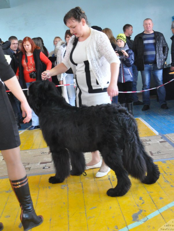 Фотография № 167740