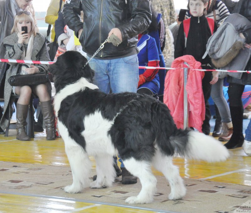 Фотография № 167744