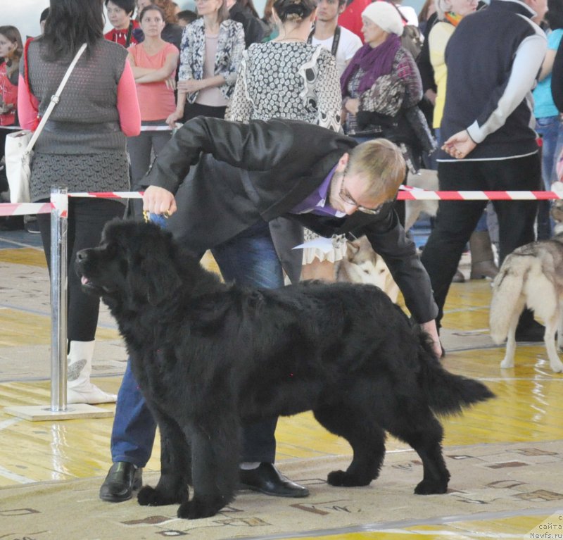 Фото: Кара Аюлар Winter Caramel, Александр Файзулин