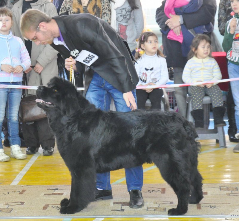 Фотография № 167746