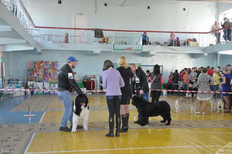 Фотография № 167747