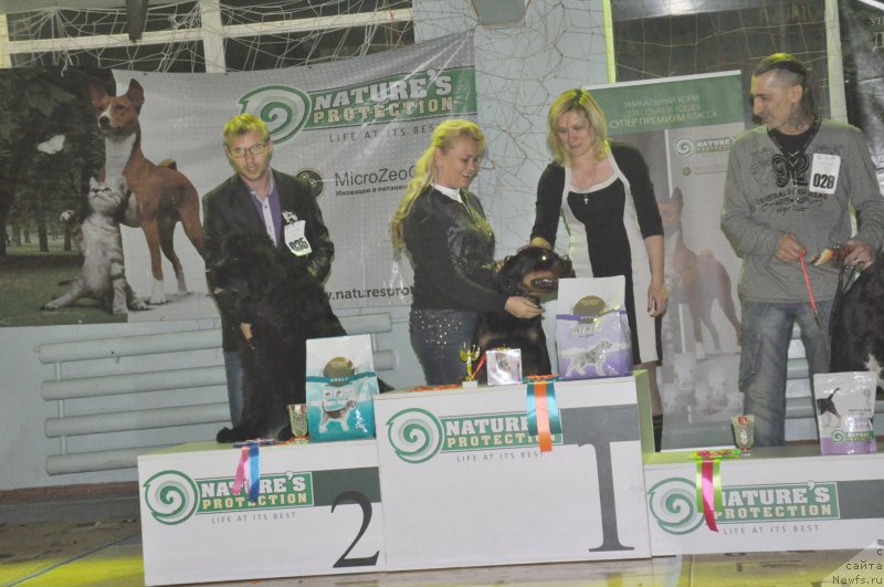 Фотография № 167748