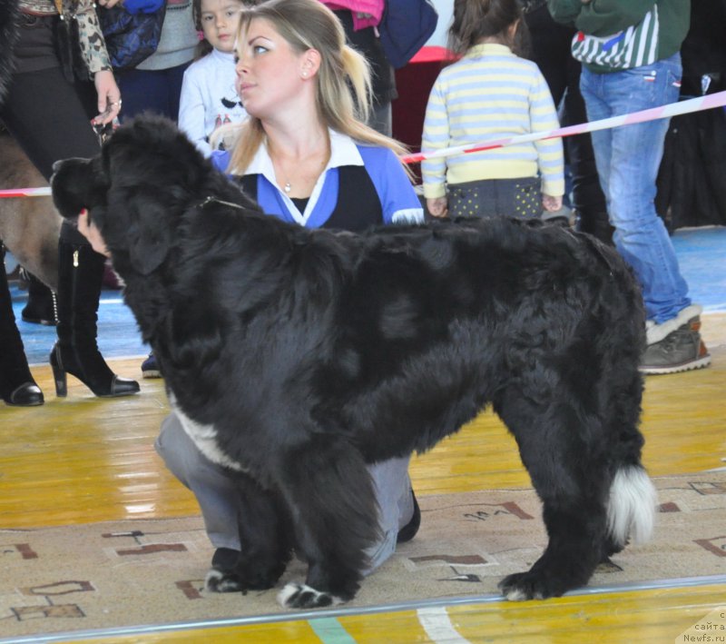 Фотография № 167749