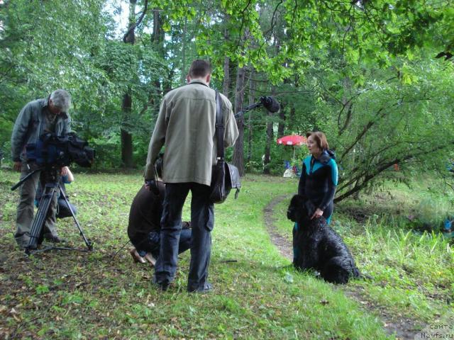 Фотография № 16775