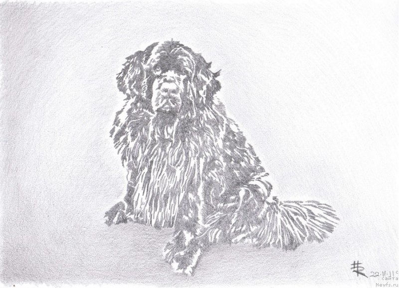 Фотография № 167754