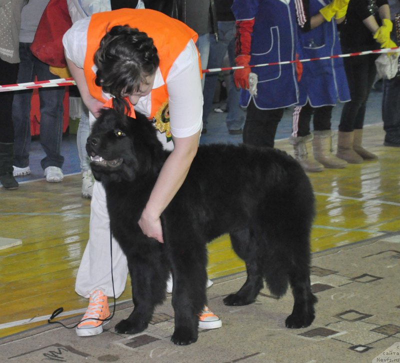 Фотография № 167785