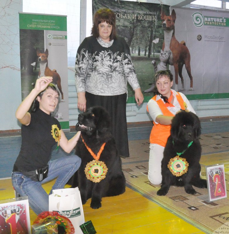 Фотография № 167787