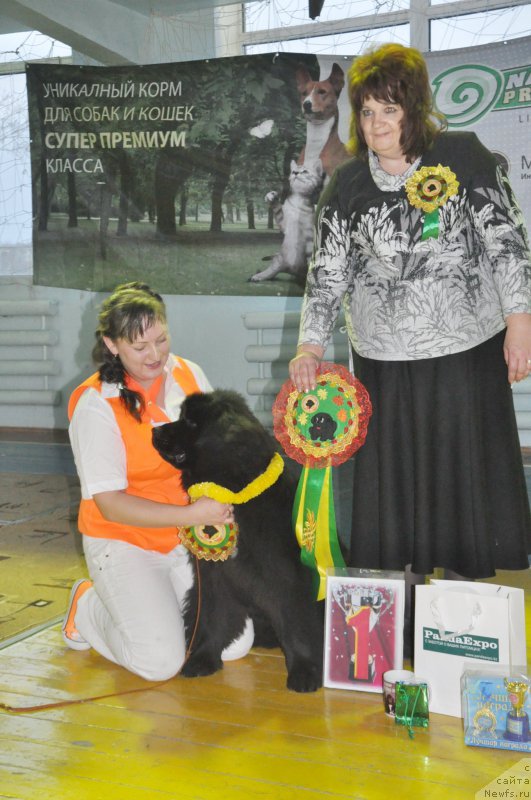 Фотография № 167789