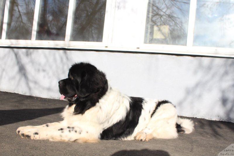 Фотография № 167793