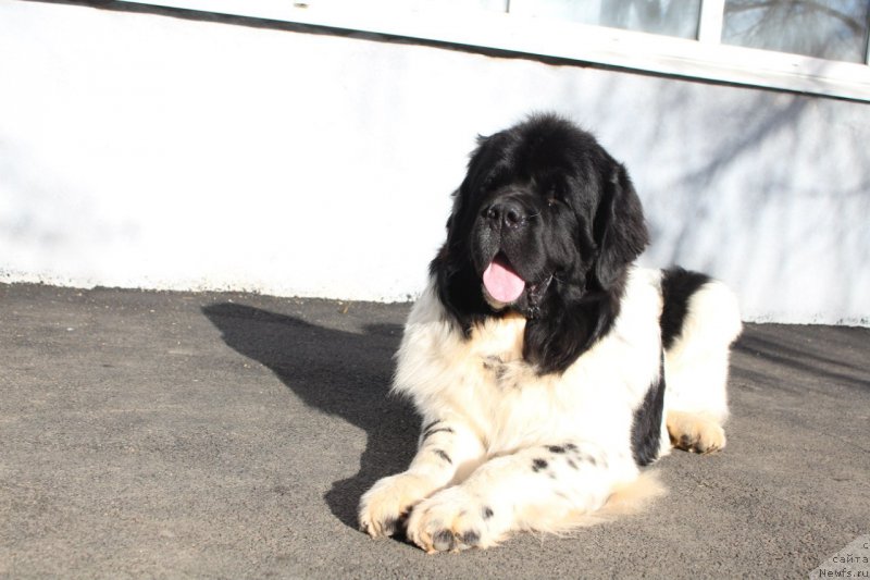 Фотография № 167794