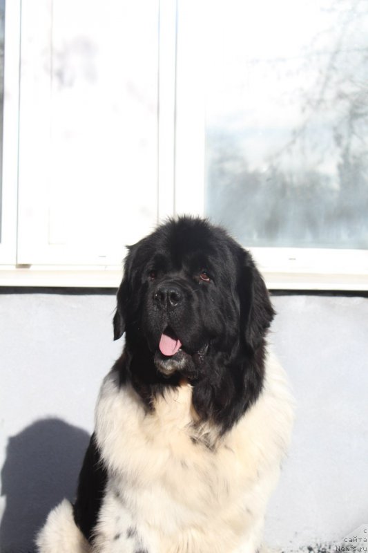 Фотография № 167796