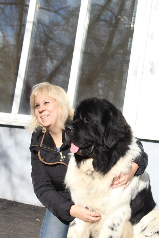 Фотография № 167797