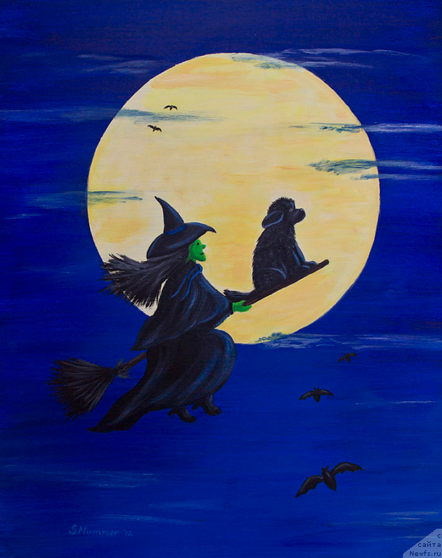 Фотография № 167805