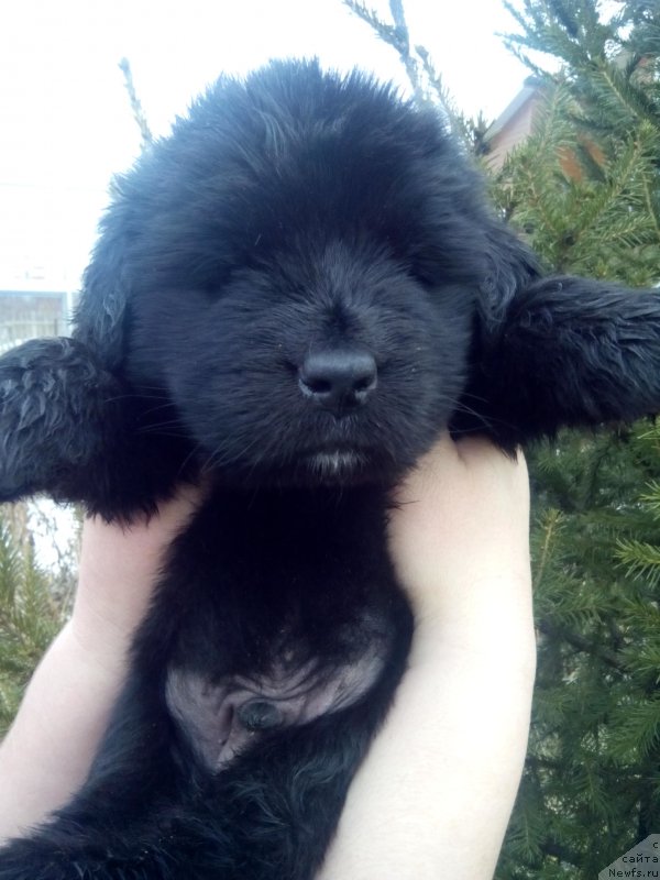 Фотография № 167808