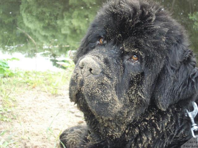 Фотография № 16781