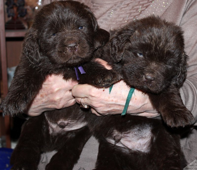 Фотография № 167812