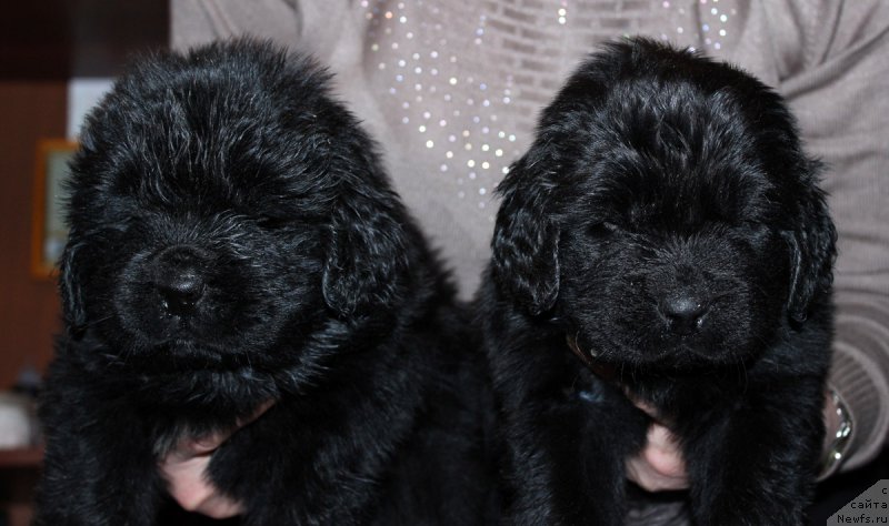 Фотография № 167816