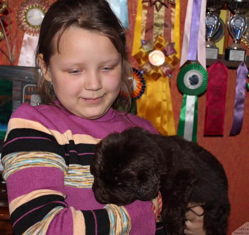 Фотография № 167817