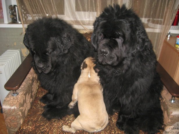 Фотография № 167823