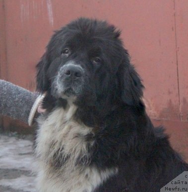 Фотография № 167827