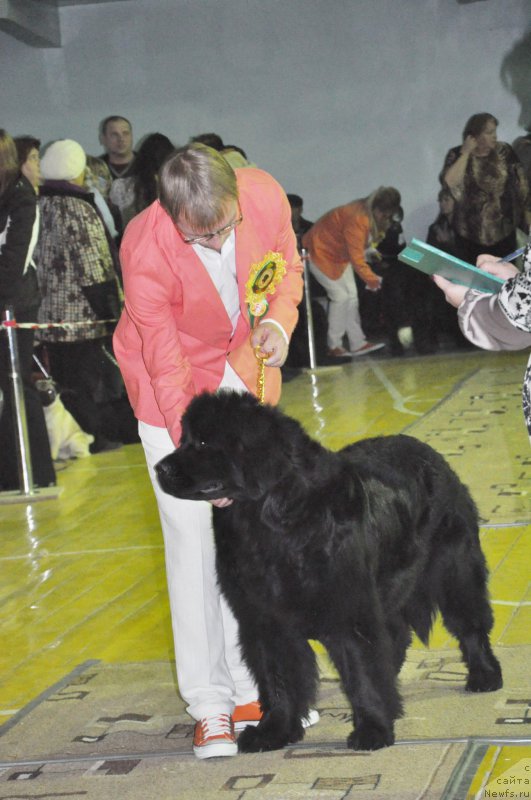 Фотография № 167836