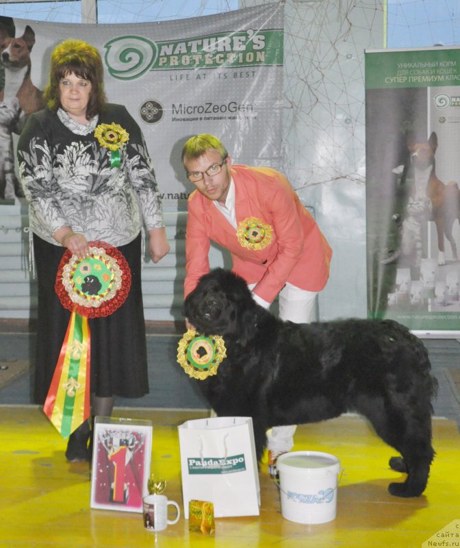 Фотография № 167837