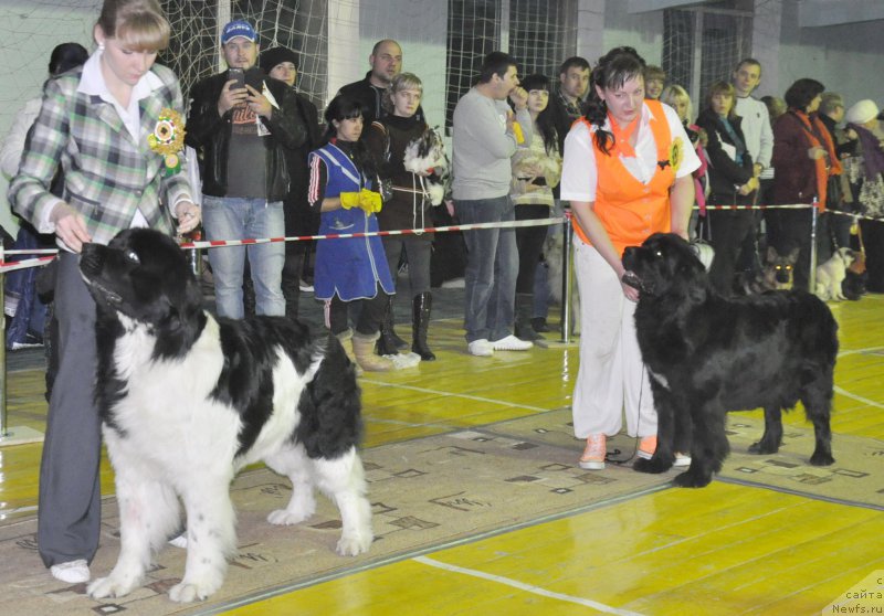 Фотография № 167842