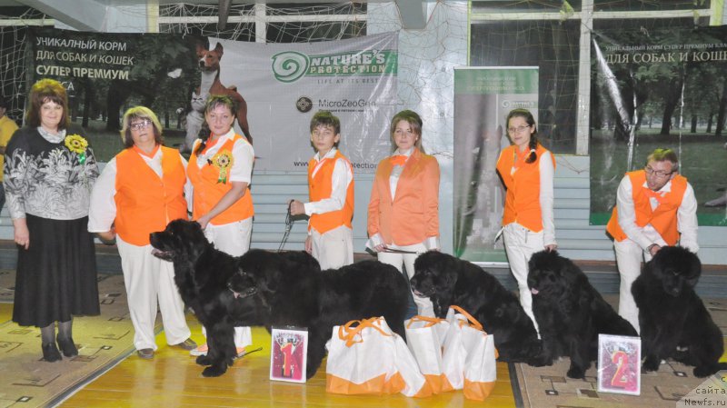 Фотография № 167844