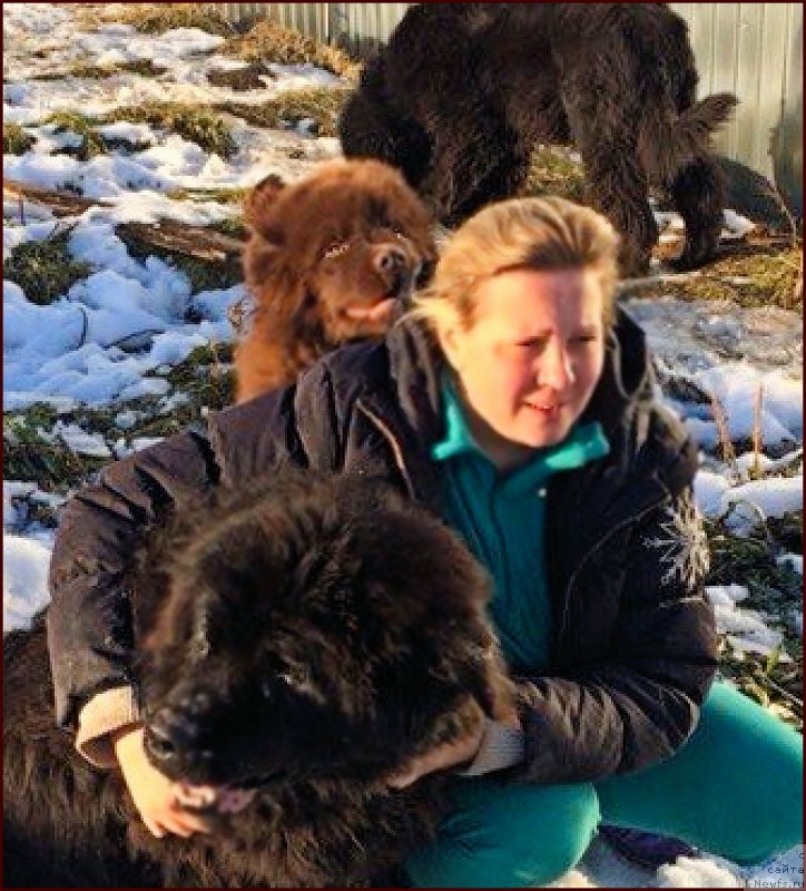 Фото: ньюфаундленд Валенсия Черная Жемчужина, ньюфаундленд Браунблад МСК Хаким Голд Хайдар (Brownblood MSK Hakim Gold Haydar), Лена Зырина