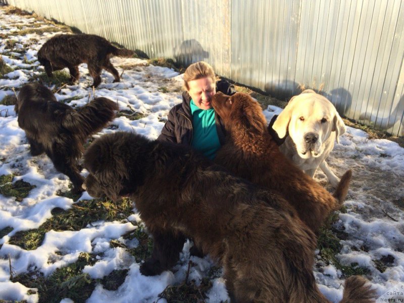 Фотография № 167853