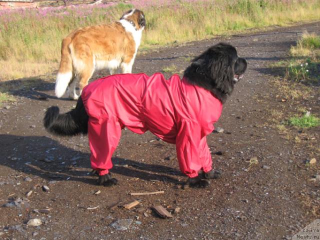 Фотография № 16786