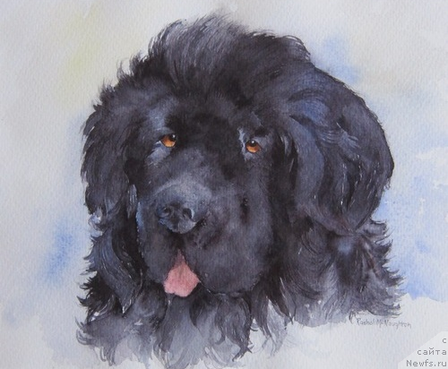 Фотография № 167863