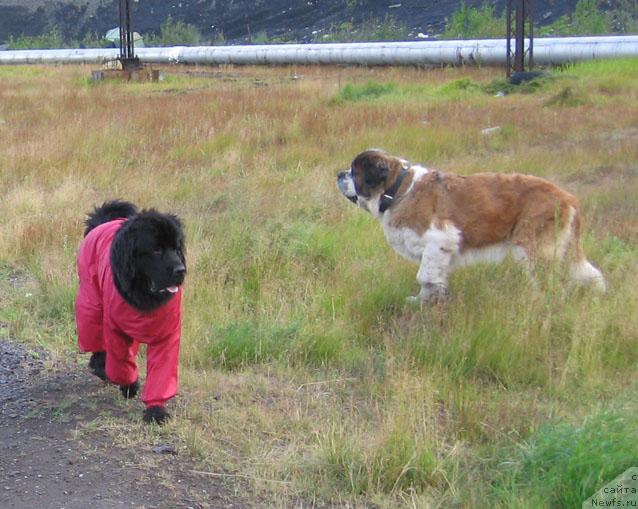 Фотография № 16787