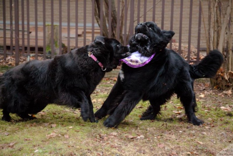 Фотография № 167899