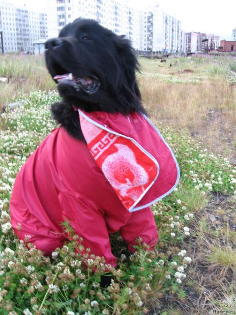 Фотография № 16790