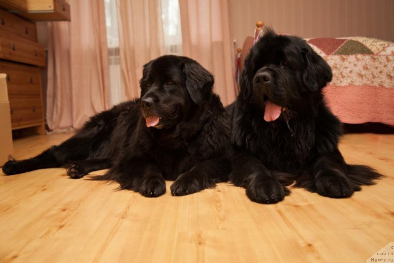 Фотография № 167903